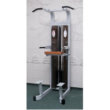 Iron Beast Professional Line Assisted Chin Up and Dip Machine 